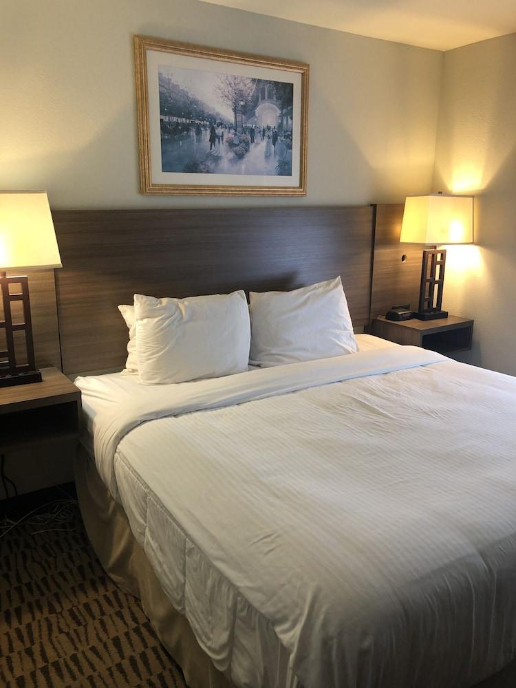 Clarion Pointe Charleston - West Ashley Hotel Exterior foto